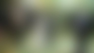 Bulanık arkaplan dokusu temasıName