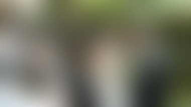 Bulanık arkaplan dokusu temasıName