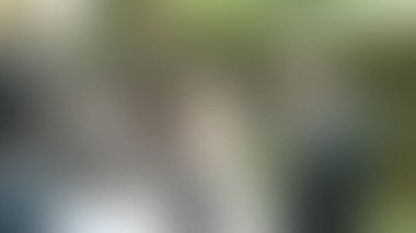 Bulanık arkaplan dokusu temasıName