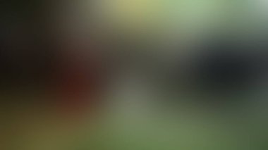 Bulanık arkaplan dokusu temasıName