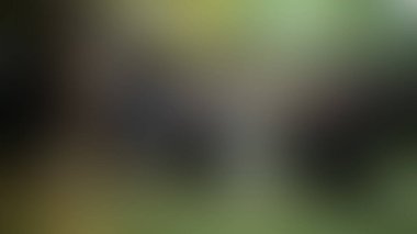 Bulanık arkaplan dokusu temasıName