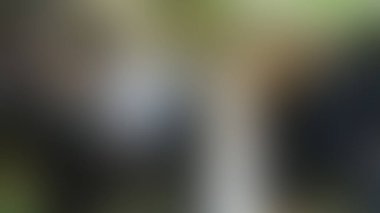 Bulanık arkaplan dokusu temasıName