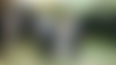 Bulanık arkaplan dokusu temasıName