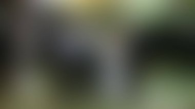 Bulanık arkaplan dokusu temasıName