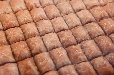 Geleneksel hindistancevizli tatlı baklavası. Ev yapımı fındıklı ve ballı baklava..
