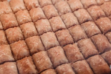 Geleneksel hindistancevizli tatlı baklavası. Ev yapımı fındıklı ve ballı baklava..