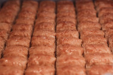Geleneksel hindistancevizli tatlı baklavası. Ev yapımı fındıklı ve ballı baklava..
