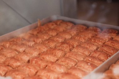 Geleneksel hindistancevizli tatlı baklavası. Ev yapımı fındıklı ve ballı baklava..