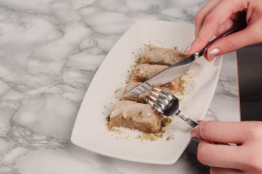 Geleneksel hindistancevizli tatlı baklavası. Ev yapımı fındıklı ve ballı baklava..