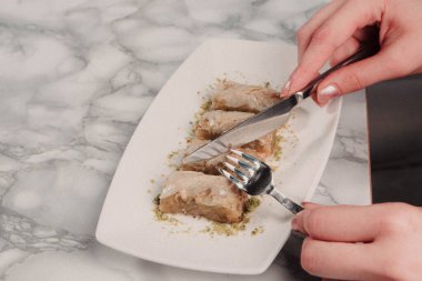 Geleneksel hindistancevizli tatlı baklavası. Ev yapımı fındıklı ve ballı baklava..