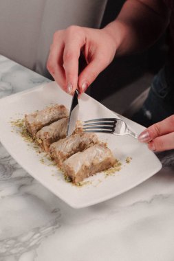 Geleneksel hindistancevizli tatlı baklavası. Ev yapımı fındıklı ve ballı baklava..