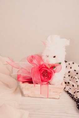 bir sürü değişik çikolatalı pralin