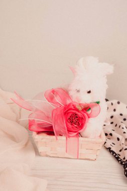 bir sürü değişik çikolatalı pralin