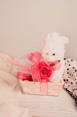 bir sürü değişik çikolatalı pralin