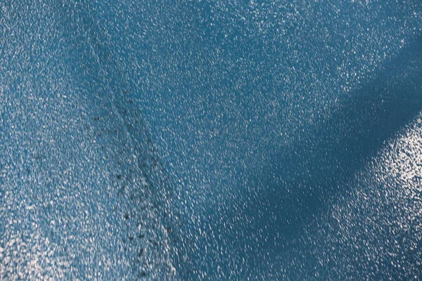 Όμορφη Αφηρημένη Grunge Διακοσμητικό Ναυτικό Μπλε Σκούρο Φόντο Τοίχο Stucco — Φωτογραφία Αρχείου