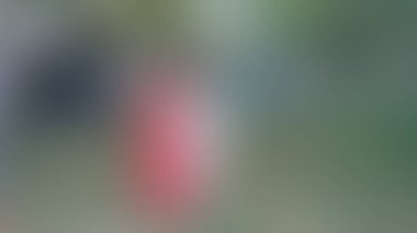 Bulanık arkaplan dokusu temasıName