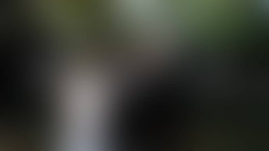 Bulanık arkaplan dokusu temasıName