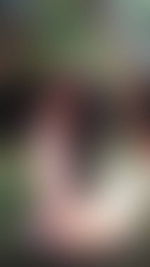 Bulanık arkaplan dokusu temasıName