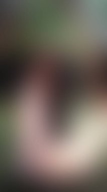 Bulanık arkaplan dokusu temasıName