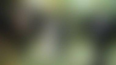 Bulanık arkaplan dokusu temasıName