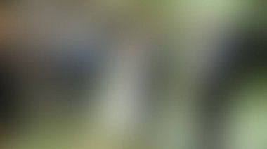 Bulanık arkaplan dokusu temasıName