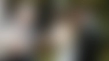 Bulanık arkaplan dokusu temasıName