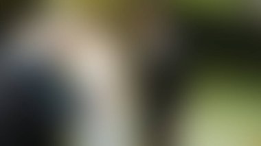 Bulanık arkaplan dokusu temasıName