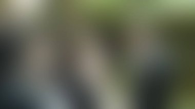 Bulanık arkaplan dokusu temasıName