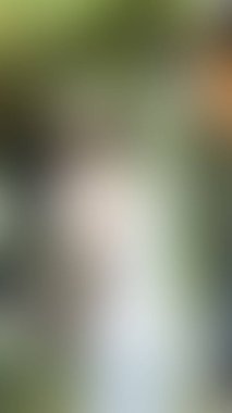 Bulanık arkaplan dokusu temasıName