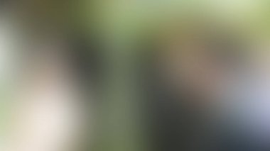 Bulanık arkaplan dokusu temasıName