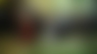 Bulanık arkaplan dokusu temasıName