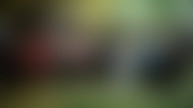 Bulanık arkaplan dokusu temasıName