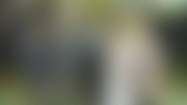 Bulanık arkaplan dokusu temasıName