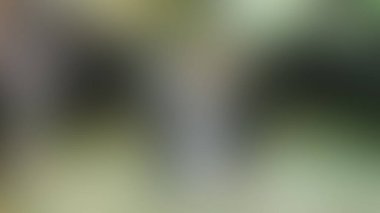 Bulanık arkaplan dokusu temasıName