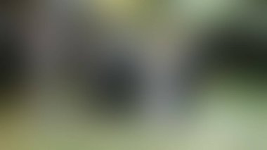 Bulanık arkaplan dokusu temasıName