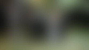 Bulanık arkaplan dokusu temasıName