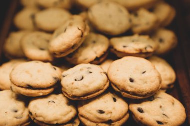 Bir grup çeşit kurabiye. Çikolata parçacıklı, yulaflı, kuru üzümlü, beyaz çikolatalı.