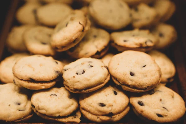 Grupp Diverse Kakor Chokladchips Havregryn Russin Vit Choklad — Stockfoto