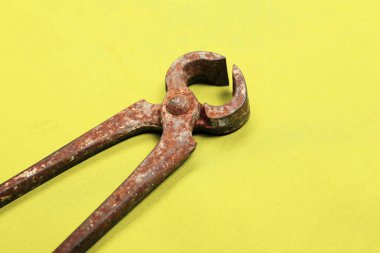 Bir çift paslı meme ucu.