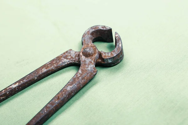 Bir çift paslı meme ucu.