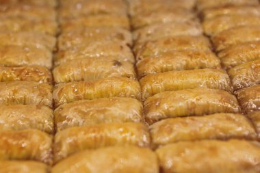 Geleneksel hindistancevizli tatlı baklavası. Ev yapımı fındıklı ve ballı baklava..