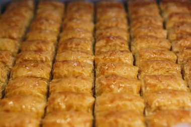 Geleneksel hindistancevizli tatlı baklavası. Ev yapımı fındıklı ve ballı baklava..
