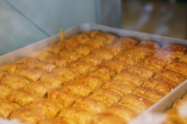 Geleneksel hindistancevizli tatlı baklavası. Ev yapımı fındıklı ve ballı baklava..
