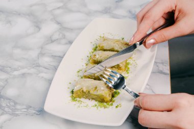 Geleneksel hindistancevizli tatlı baklavası. Ev yapımı fındıklı ve ballı baklava..