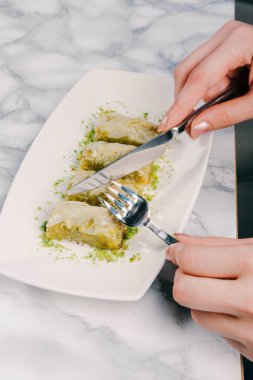 Geleneksel hindistancevizli tatlı baklavası. Ev yapımı fındıklı ve ballı baklava..