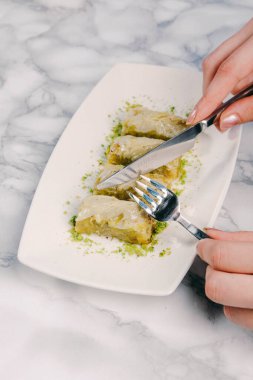 Geleneksel hindistancevizli tatlı baklavası. Ev yapımı fındıklı ve ballı baklava..