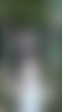 Bulanık arkaplan dokusu temasıName