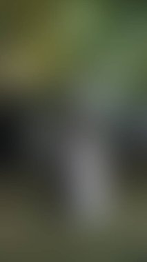 Bulanık arkaplan dokusu temasıName