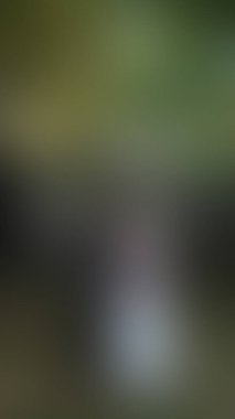 Bulanık arkaplan dokusu temasıName