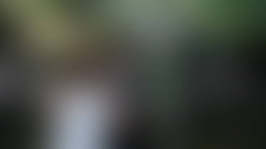 Bulanık arkaplan dokusu temasıName